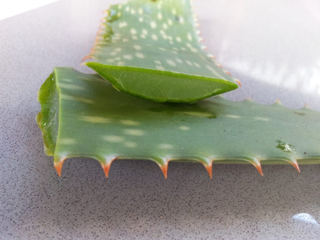 Feuille d'aloe vera coupee revelant son gel apaisant pour la peau