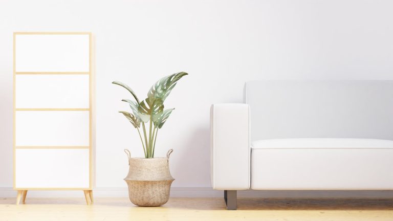 Salon minimaliste et apaisé avec canapé blanc et plante