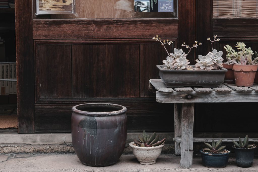 Composition de plantes grasses en pots vintage, faciles à entretenir en été