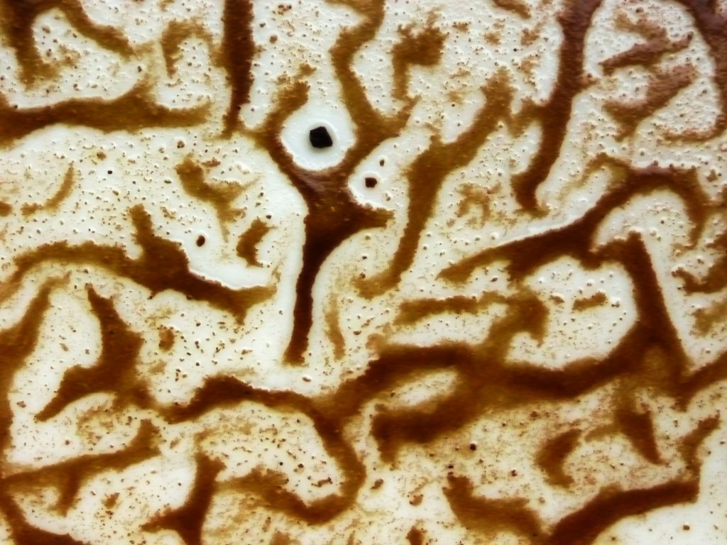 Marc de café utilisé comme gommage maison naturel