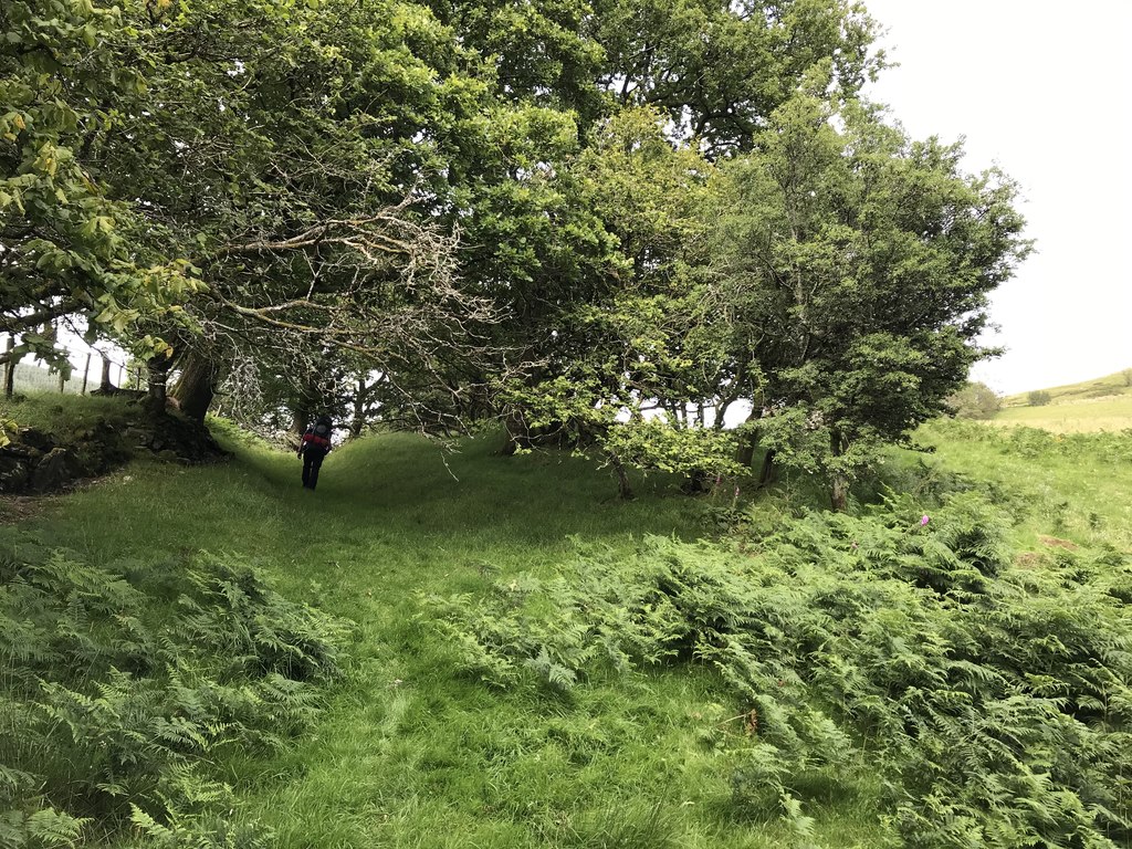 Femme marchant sur un sentier en été, une marche douce qui facilite la digestion