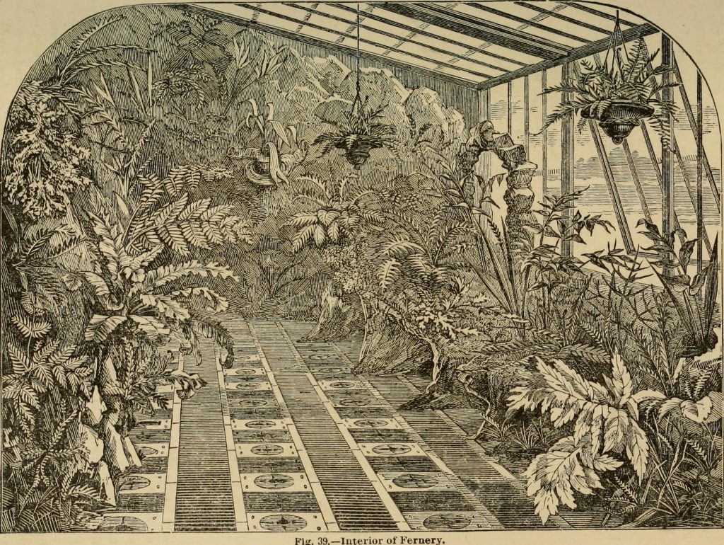 Plantes d'intérieur disposées devant une fenêtre lumineuse en été