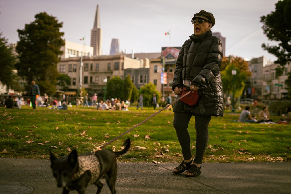 Femme marchant avec son chien dans un parc ensoleillé
